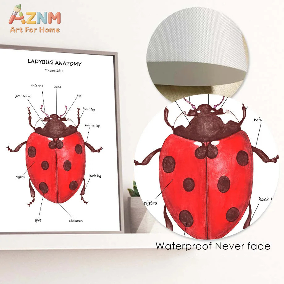 Cartoon Insect Bee Butterfly L - Kids Education Yes บทวิจารณ์และราคา