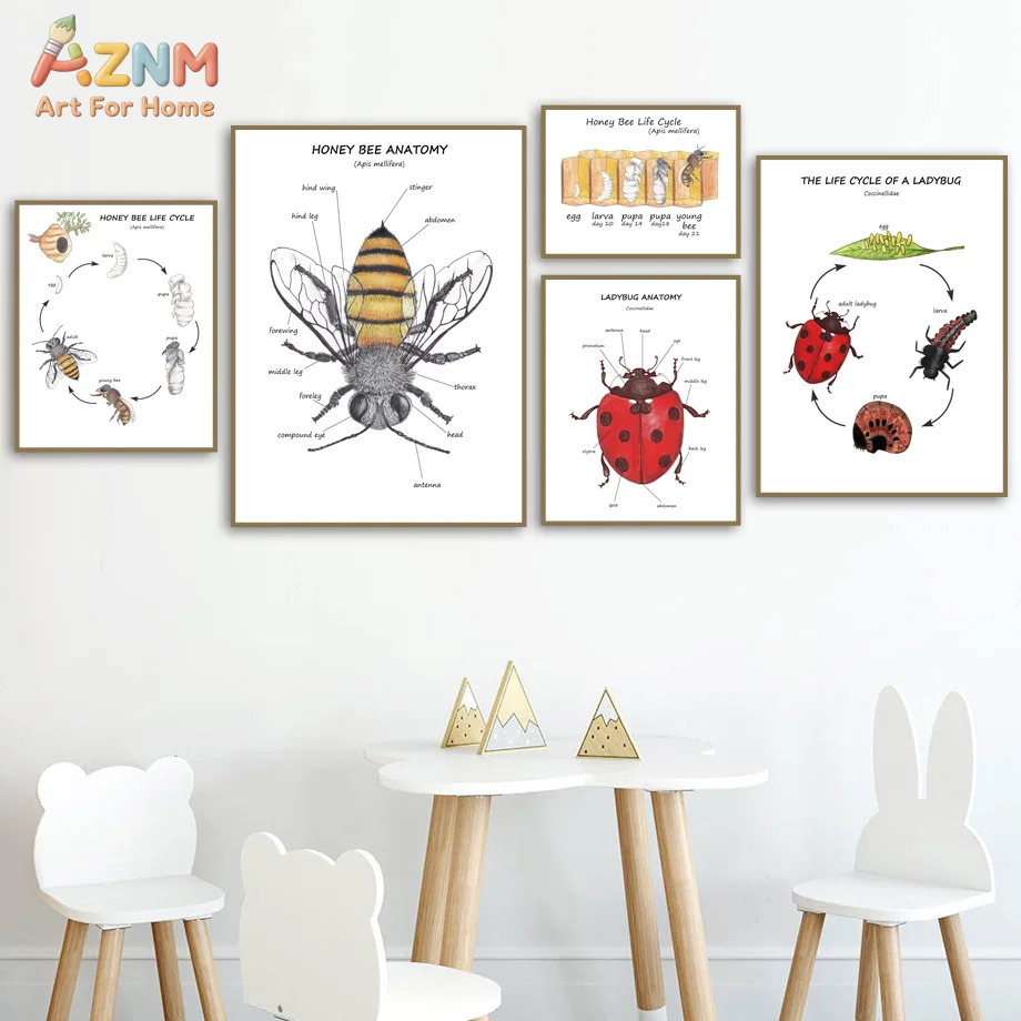 Cartoon Insect Bee Butterfly L - Kids Education Yes บทวิจารณ์และราคา