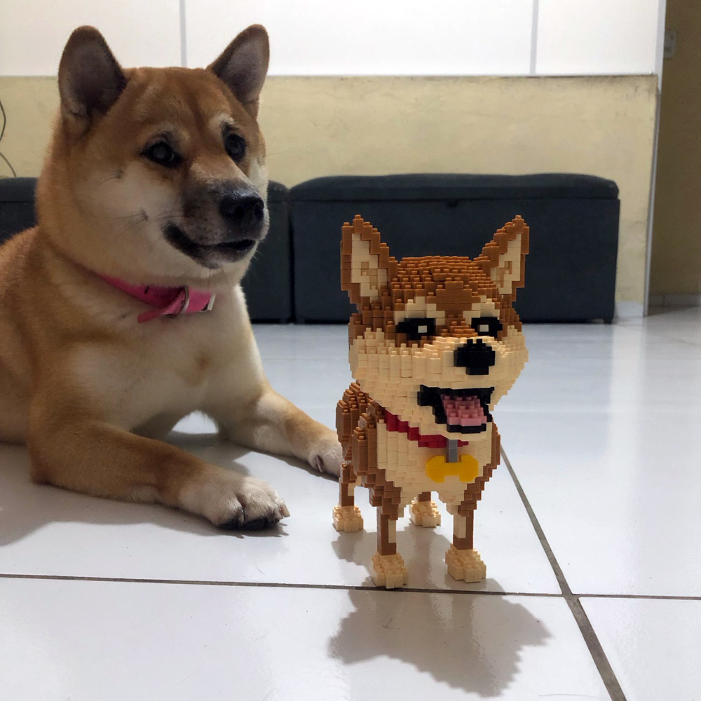 KNEW BUILT Shiba Inu Dogs Mode - Kids Education And Recreation บทวิจารณ์และราคา