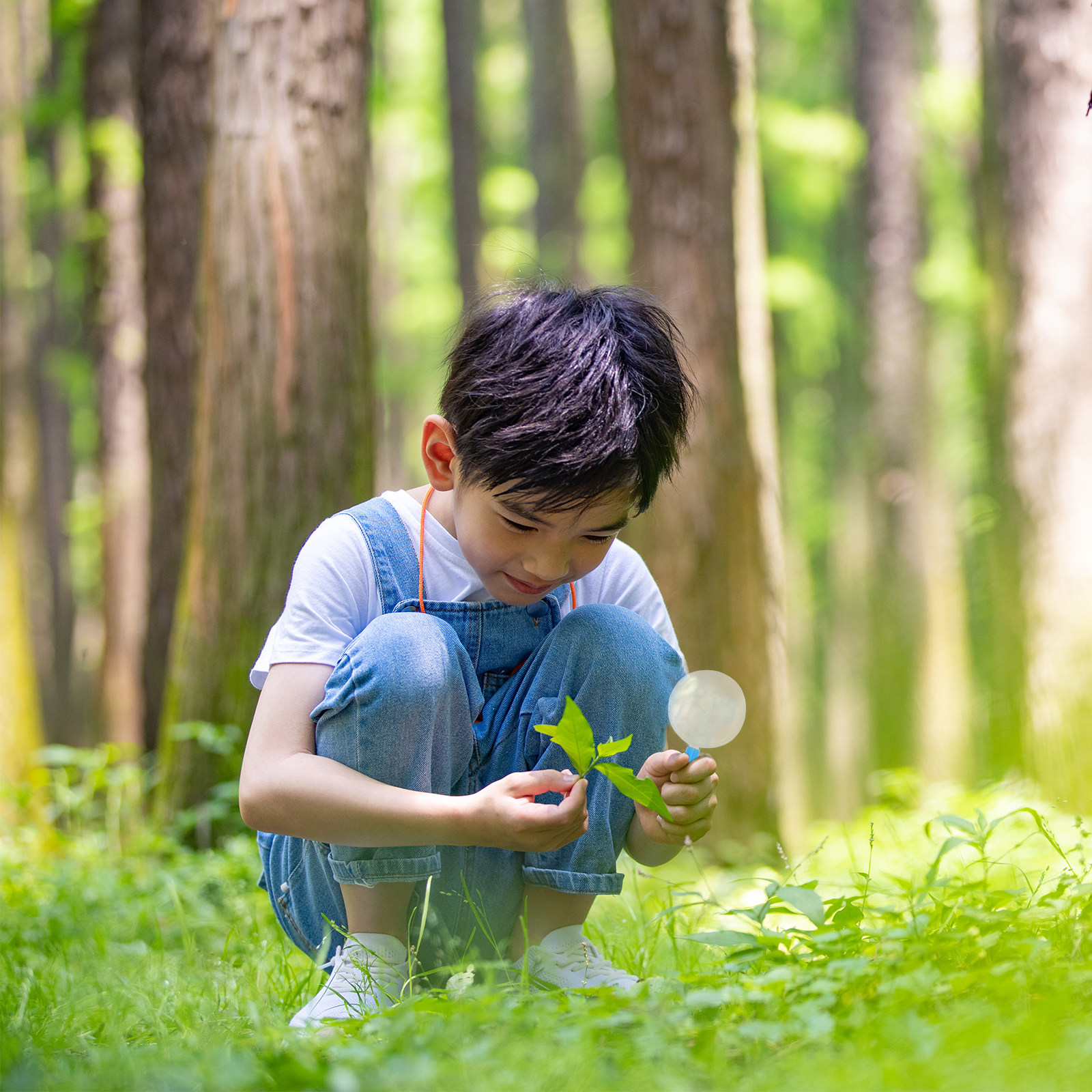 30Pcs Kids Magnifying Glass Ou - Kids Education Classes บทวิจารณ์และราคา
