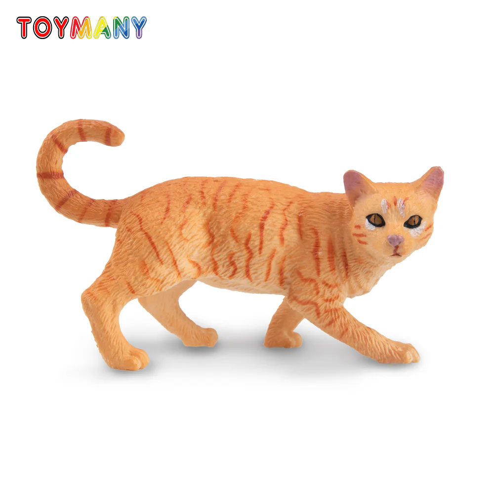 Toymany Simulation Striding Or - Kids Education Yes บทวิจารณ์และราคา