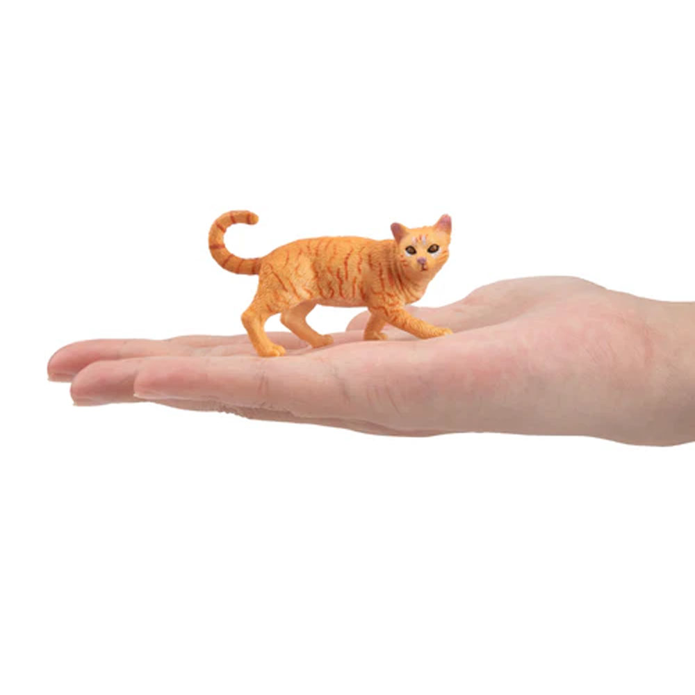 Toymany Simulation Striding Or - Kids Education Yes บทวิจารณ์และราคา