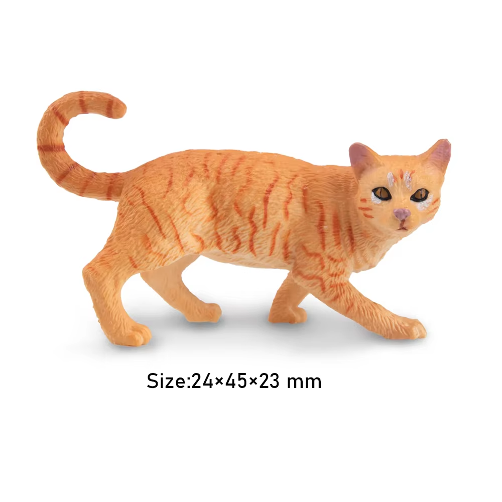 Toymany Simulation Striding Or - Kids Education Yes บทวิจารณ์และราคา