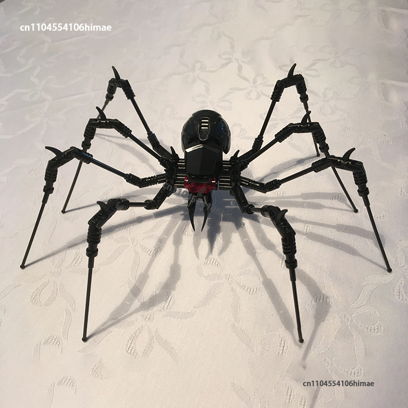 NEW Magical Creepy Spider Blac - Kids Education Book Pdf บทวิจารณ์และราคา